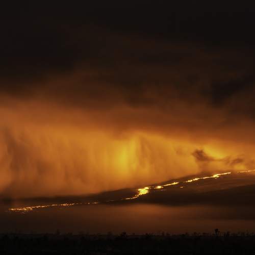 Photo #8568992