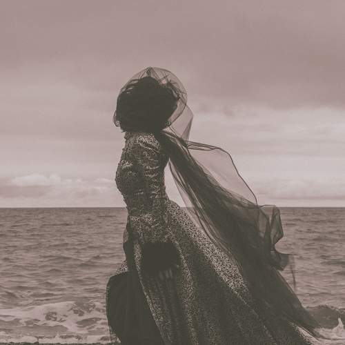 Photo #8569165