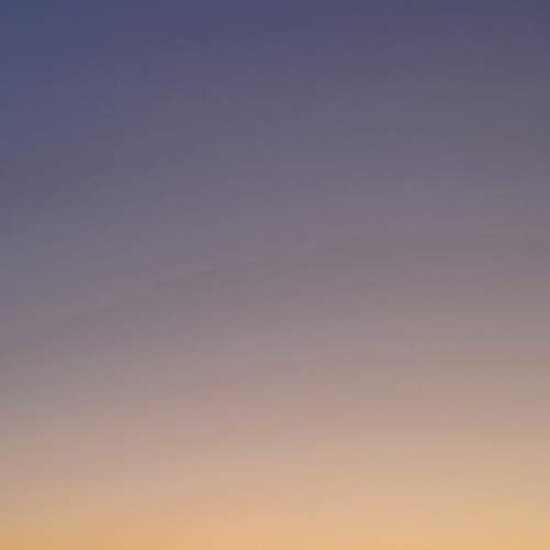 Photo #8569250