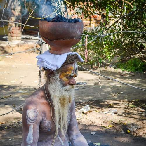 Photo #8569365