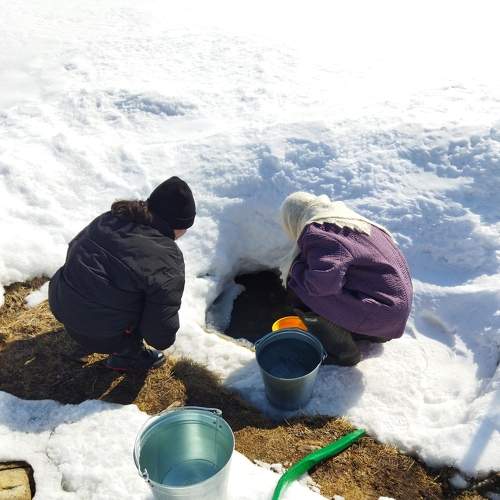 Photo #8569372