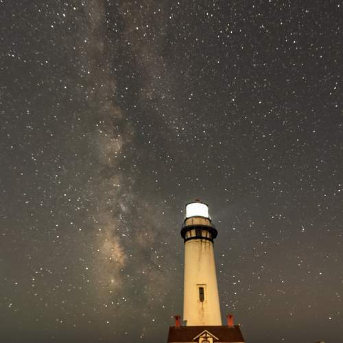 Photo #8569508