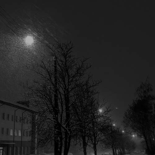 Photo #8569591