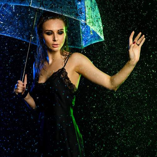 Photo #8569683