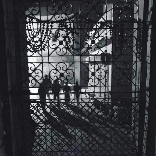 Photo #8569717