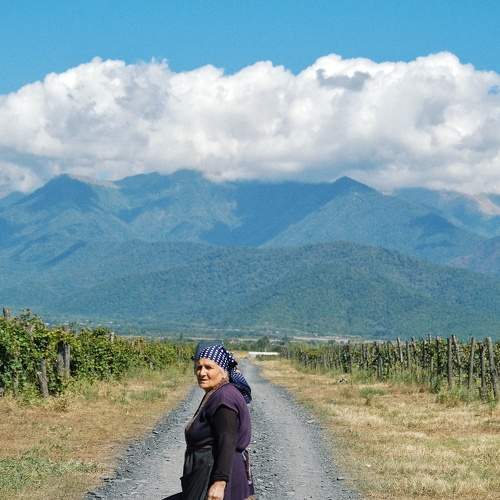 Photo #8569849