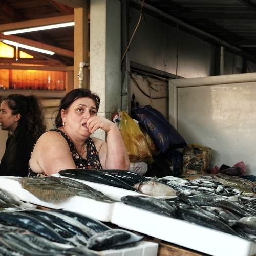 Photo #8569855