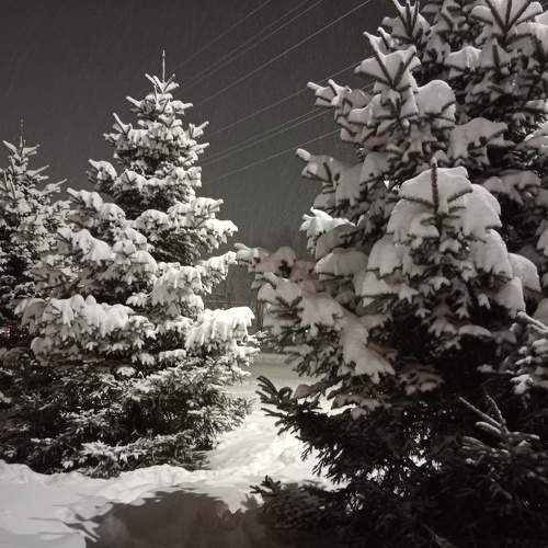 Photo #8570119