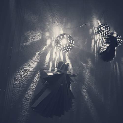 Photo #8570227