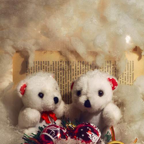 Photo #8570241