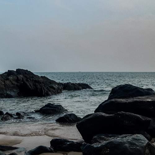 Silent shores