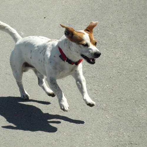 Photo #8570553