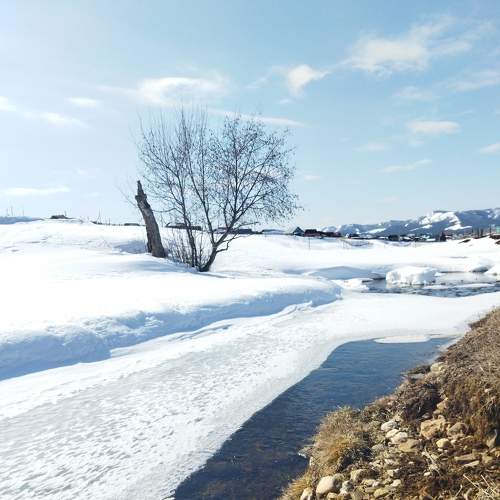 Photo #8570740