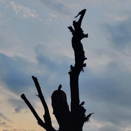 Photo #8570988