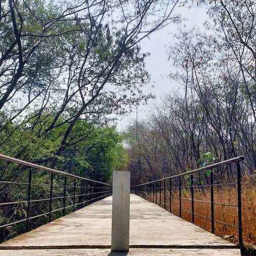 Photo #8570989