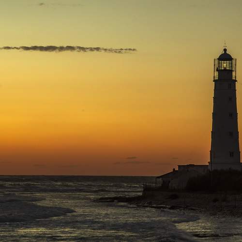 Photo #8571150