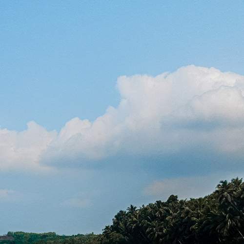 Photo #8571199