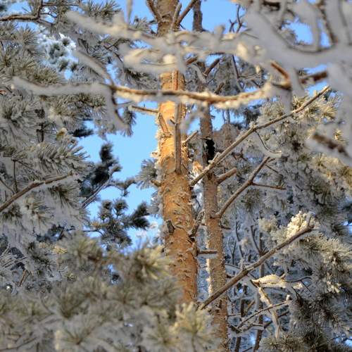 Photo #8571225