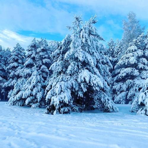 Photo #8571316