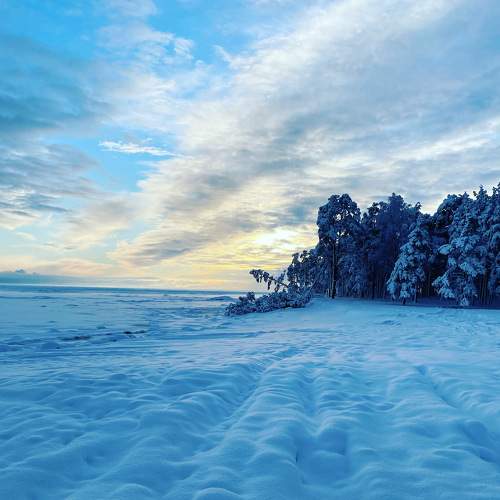 Photo #8571317