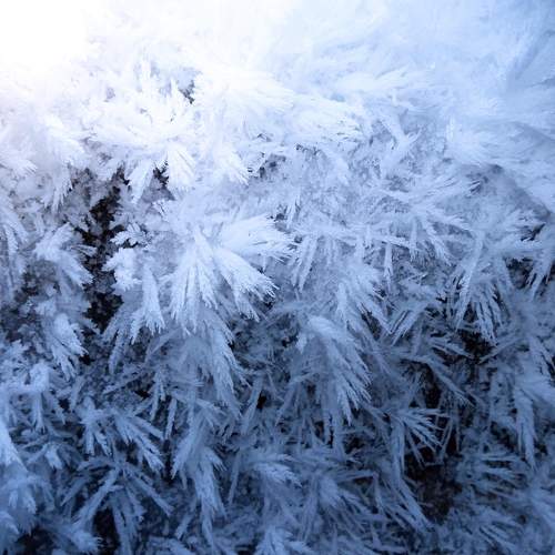 Photo #8571385