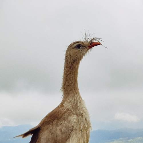Photo #8571634