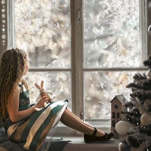 Photo #8571650