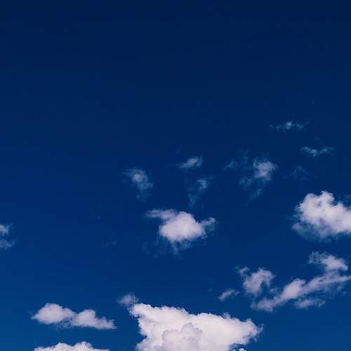 Photo #8571759