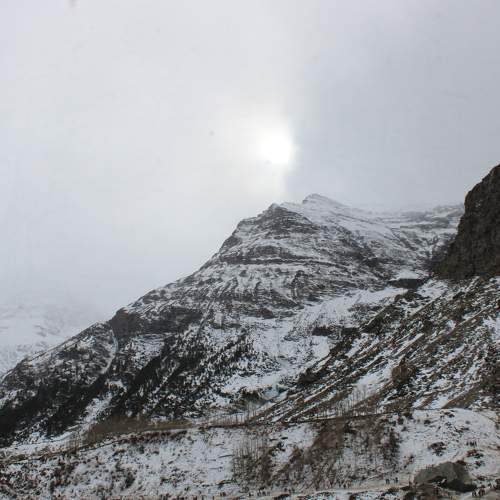 Photo #8571788