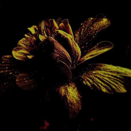 Photo #8571979