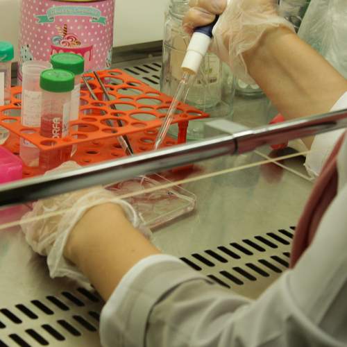 Photo #8572215