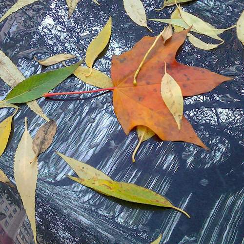Photo #8572560