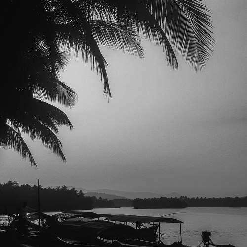 Photo #8572841