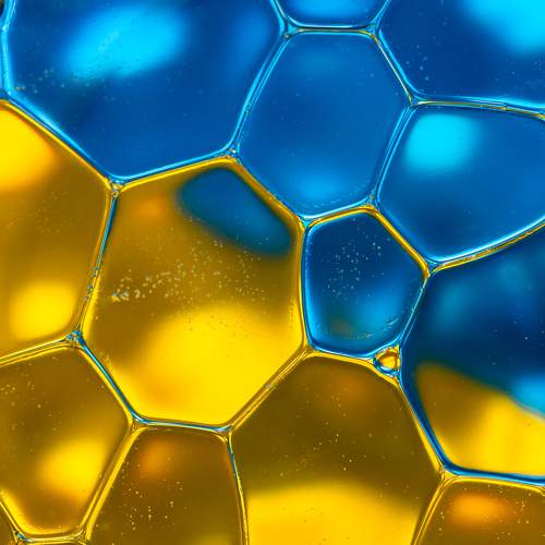 Фотография #8572956