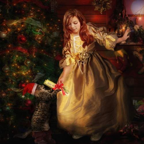 Photo #8573601