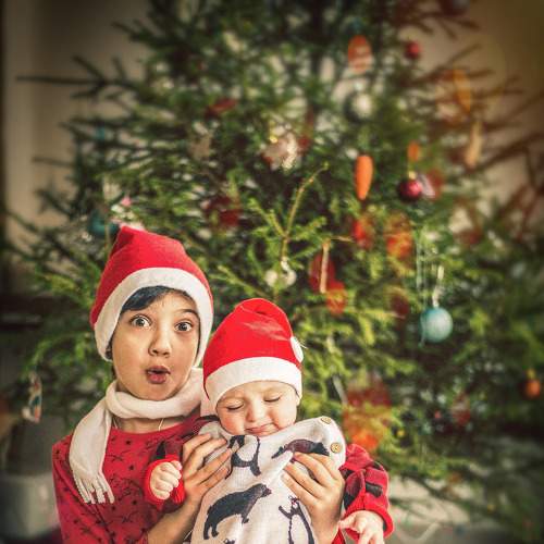 Photo #8573901