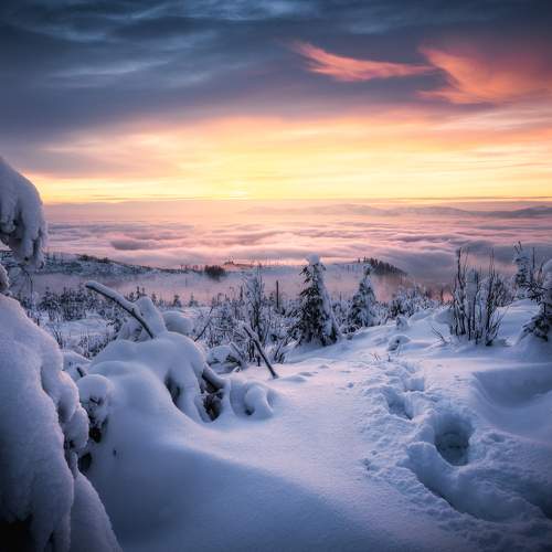 Winter sunset