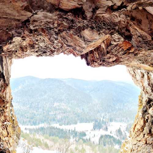 Photo #8574811