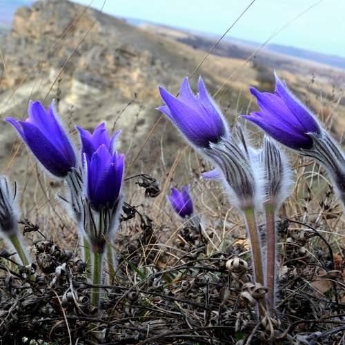 Photo #8574945
