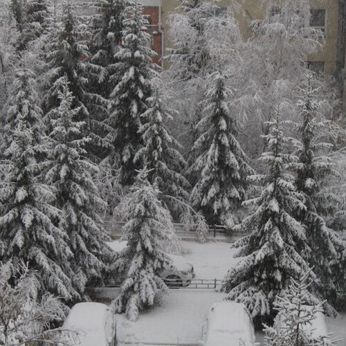 Photo #8575831