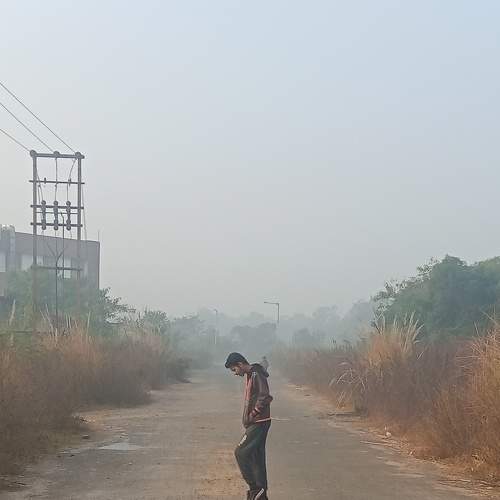 Photo #8576287