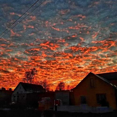 Photo #8576626
