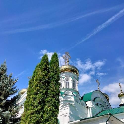 Photo #8577030