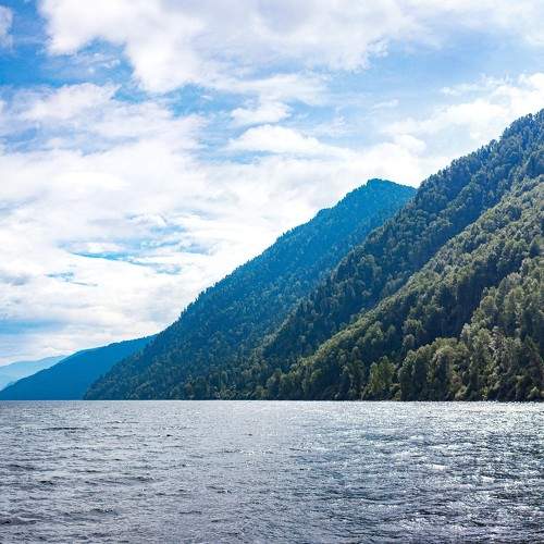 Photo #8577058