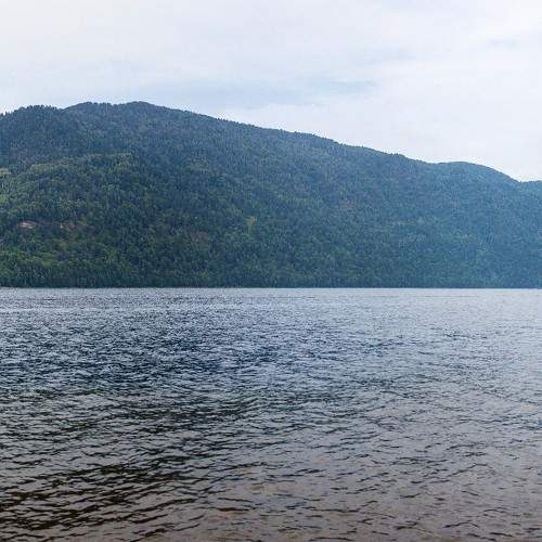 Photo #8577060