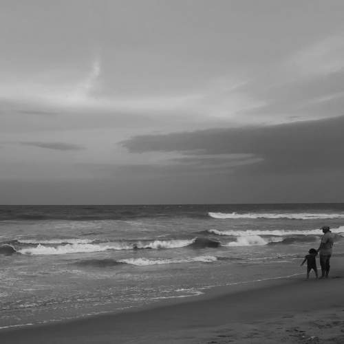 Photo #8577065