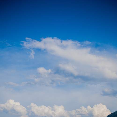 Photo #8577067