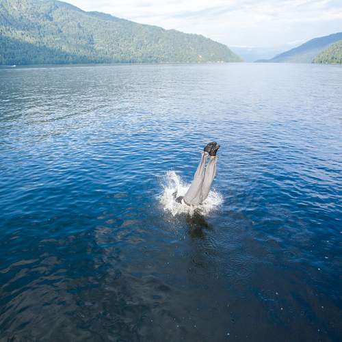 Photo #8577092