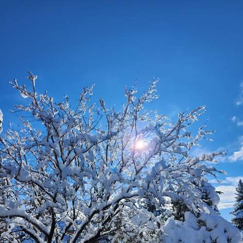 Photo #8577221