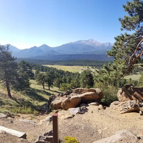Photo #8577282